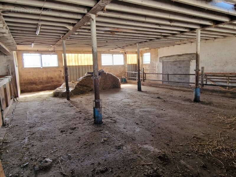 Propriété à vendre 8 pièces proche nancy (54) sur 1,8 hectare - propriété agricole avec ferme rénovée, dependances, ecuries, gra - photo 6
