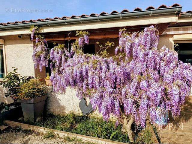 Maison à SAINT-PERAY