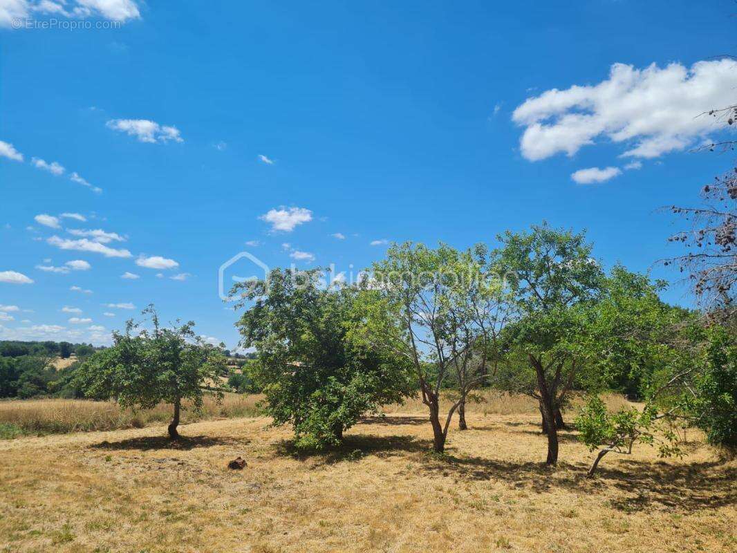 Ensemble immobilier en pierre à rénover - photo 8