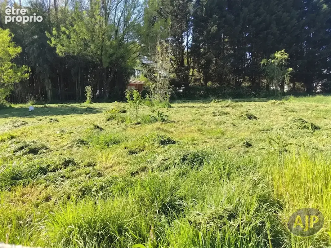 Terrain à MOULIS-EN-MEDOC