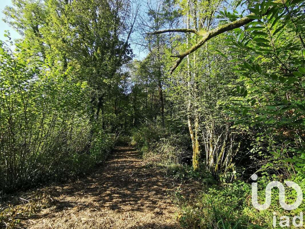 Photo 5 - Terrain à EYSUS