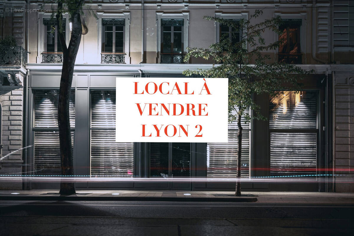 Commerce à LYON-2E