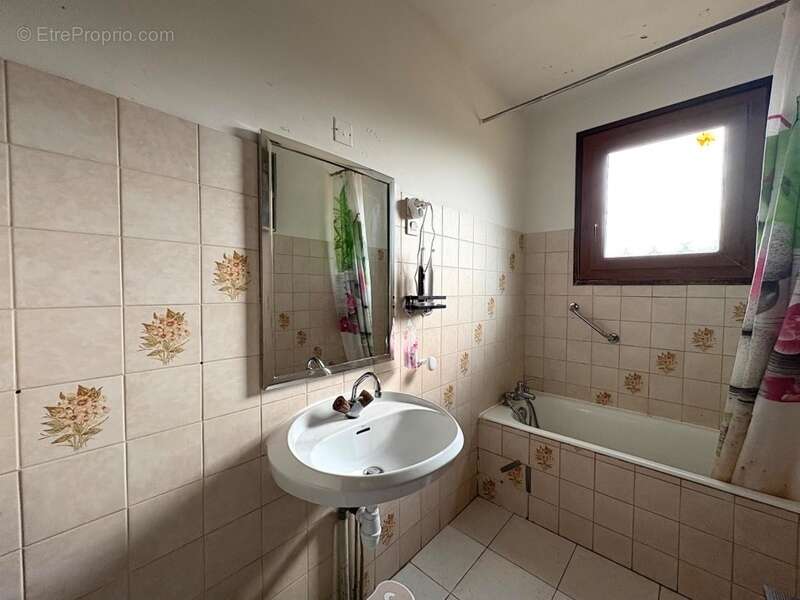 Maison 137m2 + dépendances + élevage canin sur 5,7 ha de terrain proche de aire sur l'adour (40) - photo 11