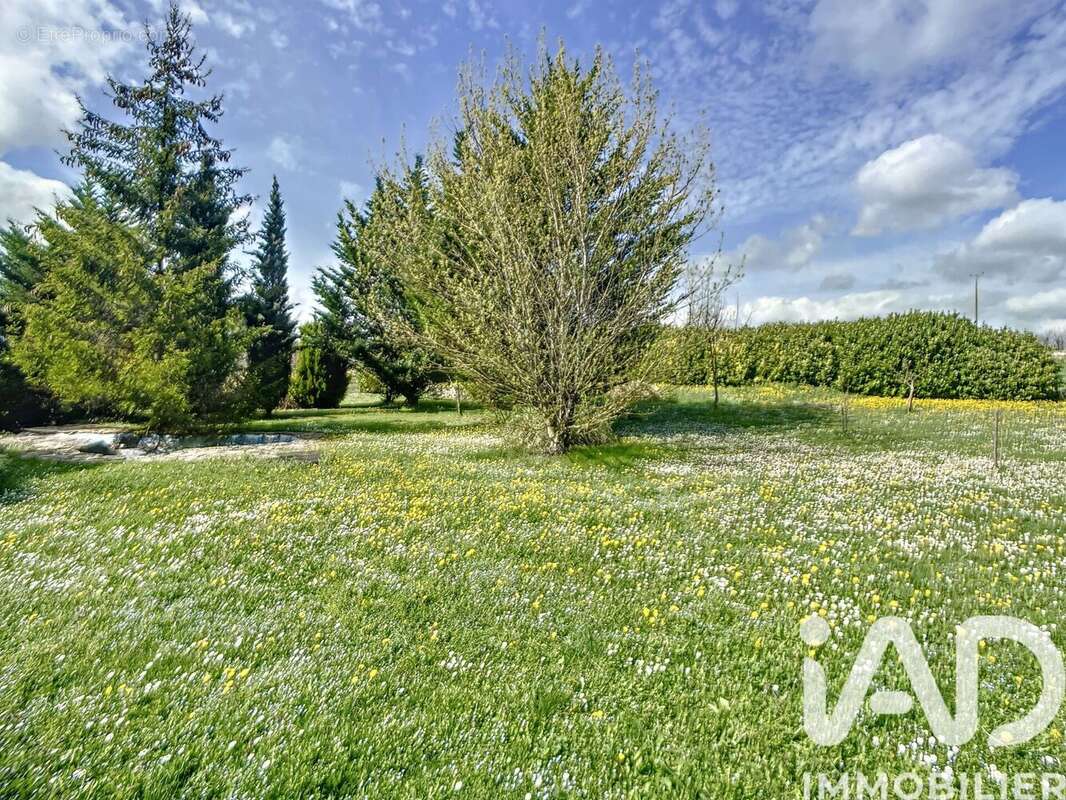 Maison 134 m² à Montaigu-De-Quercy  - photo 2