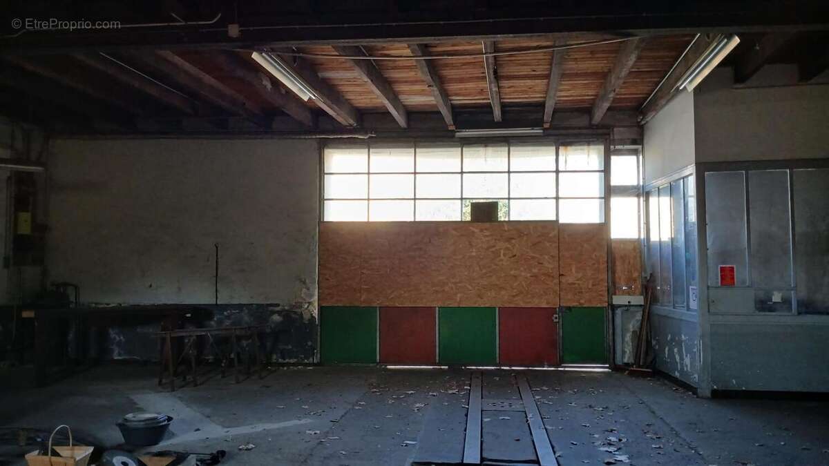 Photo 4