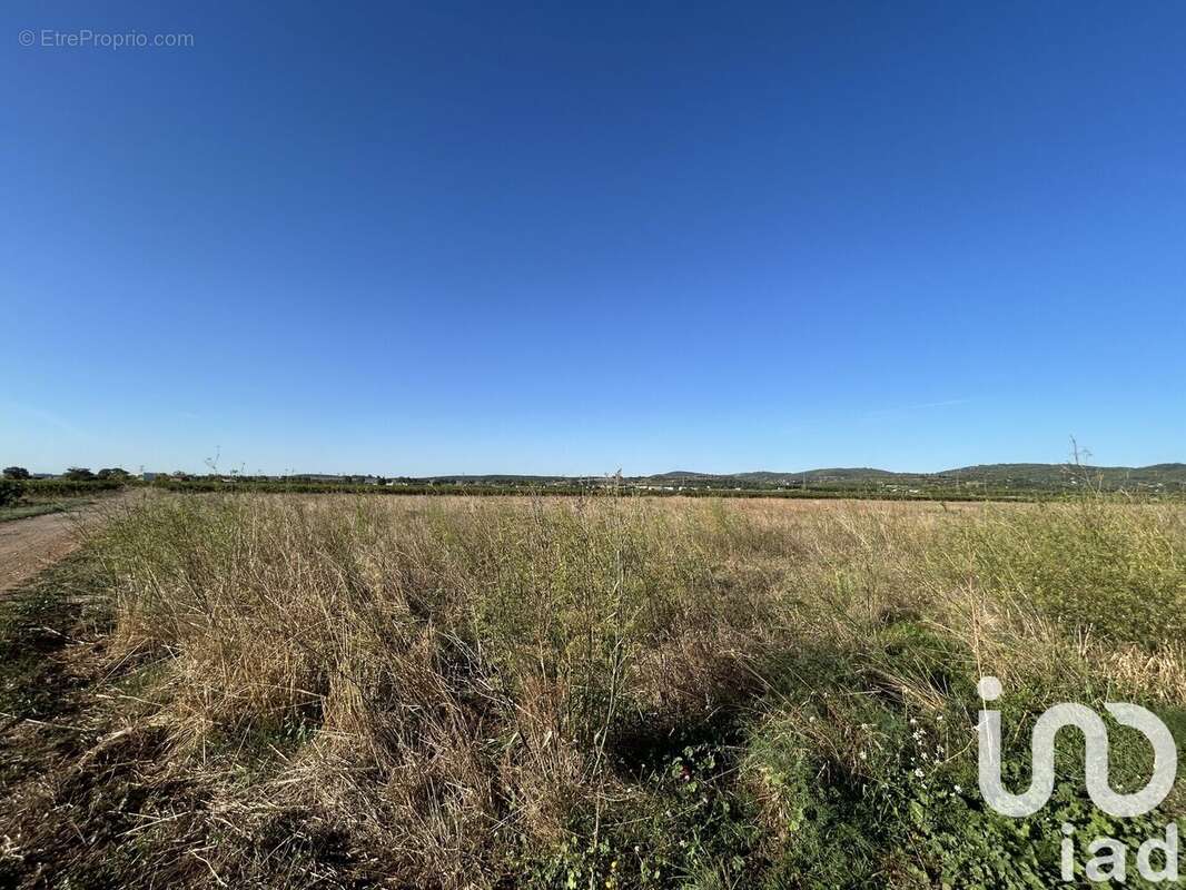 Photo 3 - Terrain à BOUZIGUES