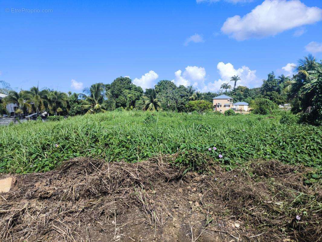Terrain à BAIE-MAHAULT