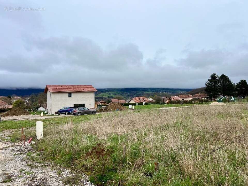 Terrain 430 m² à Eloise  - photo 4