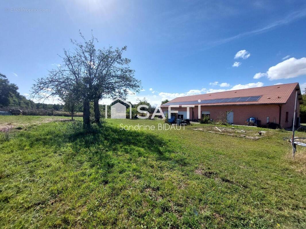 Photo 1 - Maison à SAINT-TRIVIER-DE-COURTES