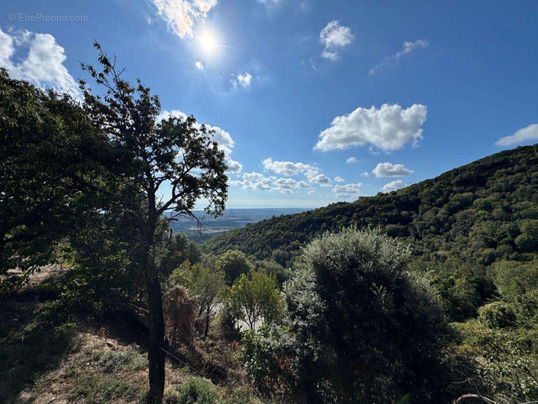 Maison à CANALE-DI-VERDE
