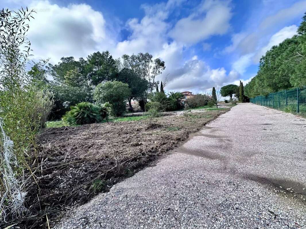 Terrain à PERPIGNAN