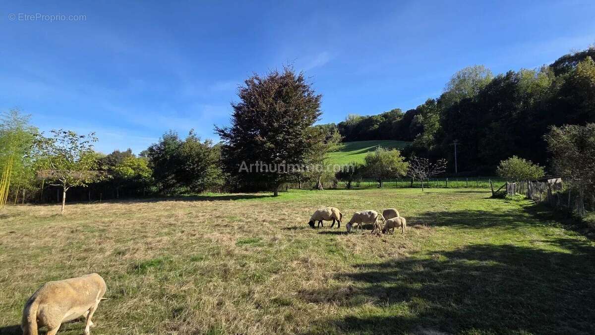 Terrain à SERMERIEU