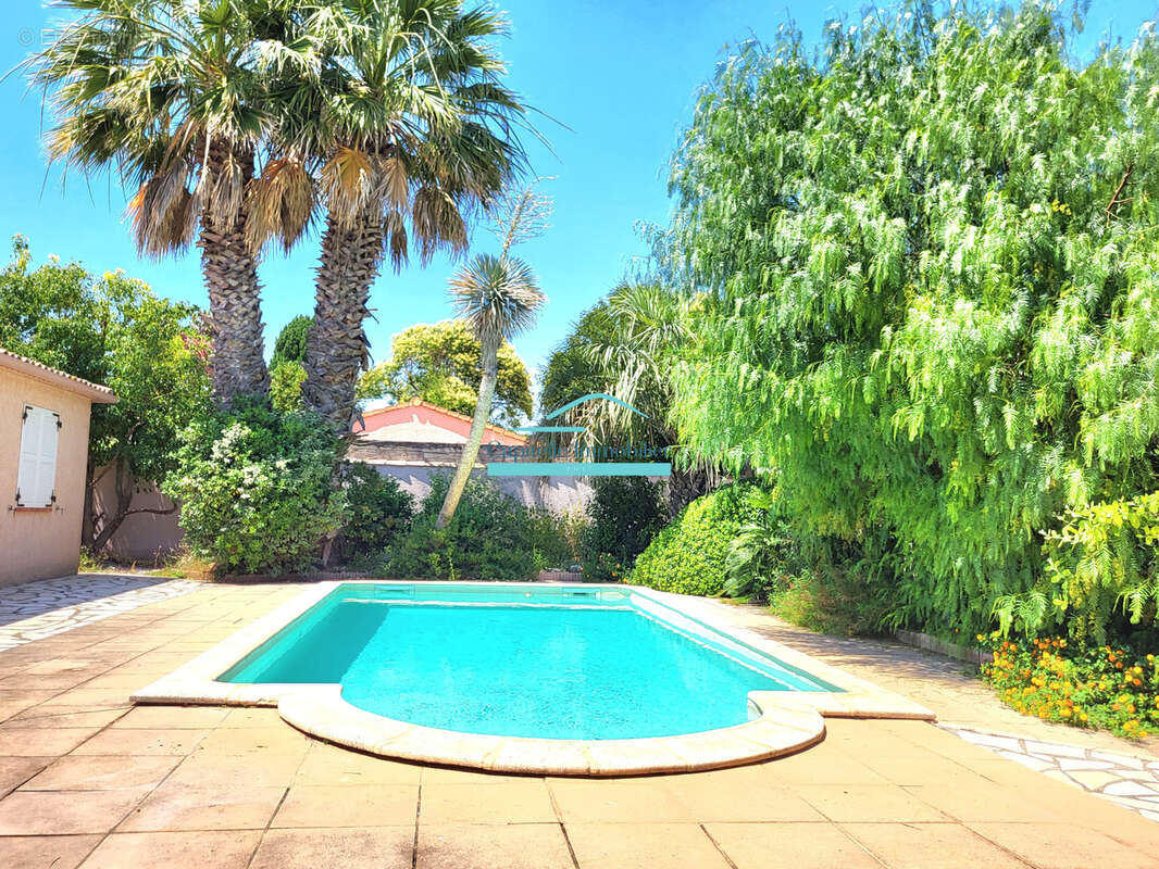 Mireval (hérault) , Villa T4 plain pied sur 692m2 de terrain avec piscine - photo 2