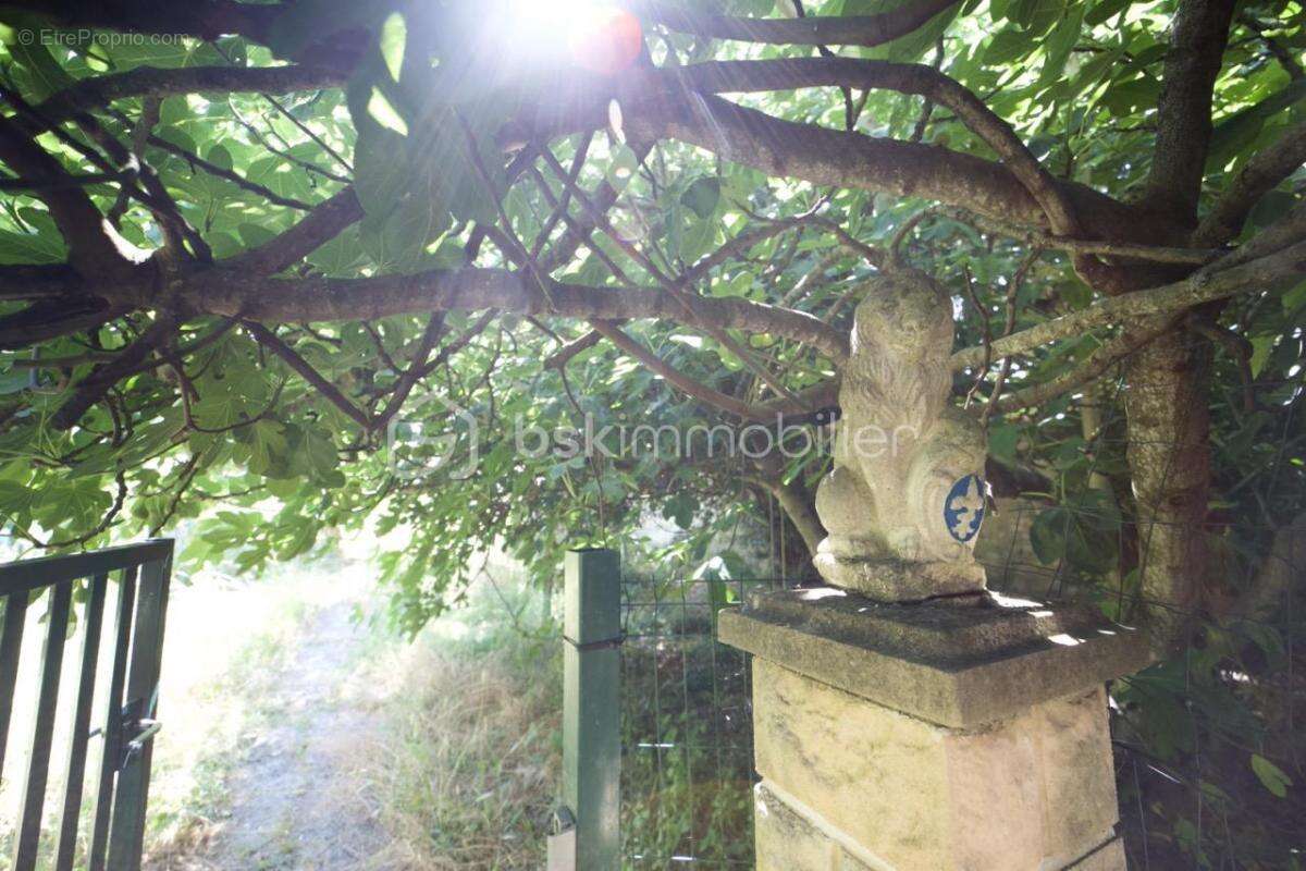 Maison tradionnelle - 3 chambres avec jardin – 75 m² – Pithiviers - photo 17