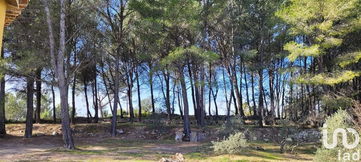 Photo 4 - Maison à L'ISLE-SUR-LA-SORGUE