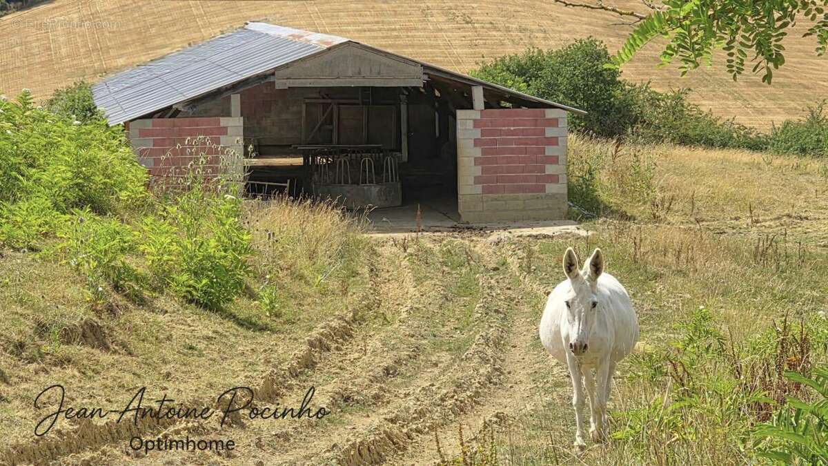 Maison de campagne à vendre 9 pièces  (31) - photo 14