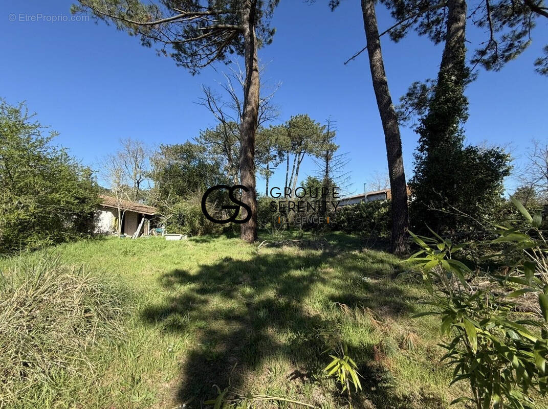 Terrain à AUDENGE