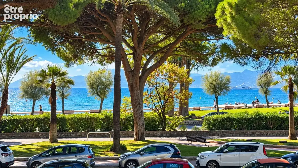 Cannes croisette - photo 2