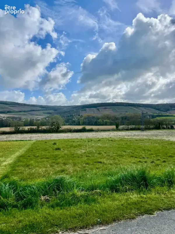 Photo Terrain à Crezancy au prix de 34 000€