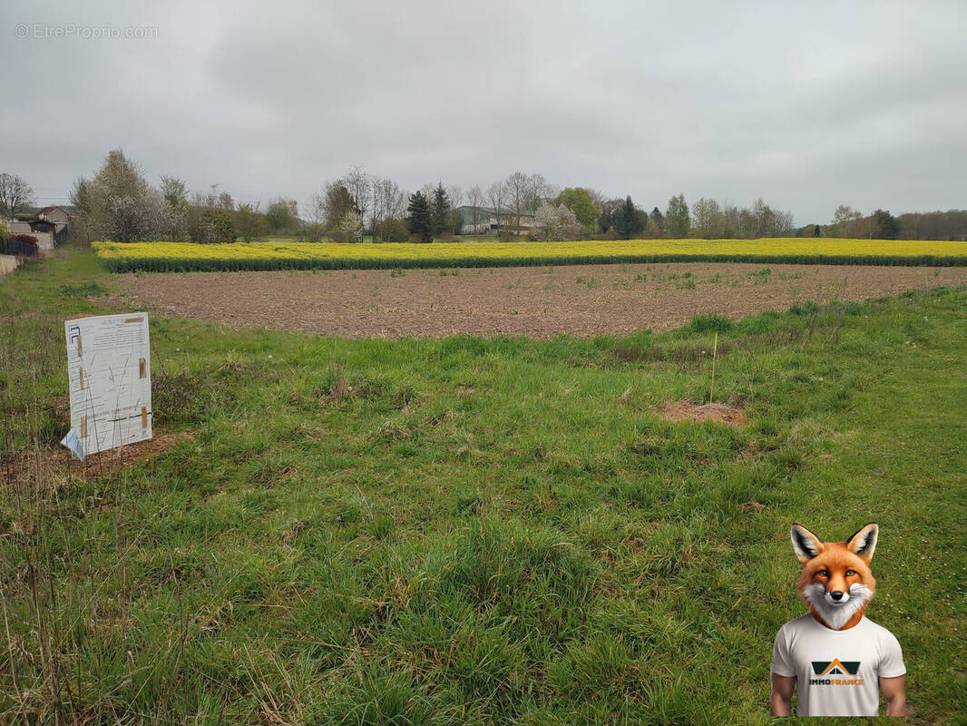 Terrain à SAINT-AUBIN