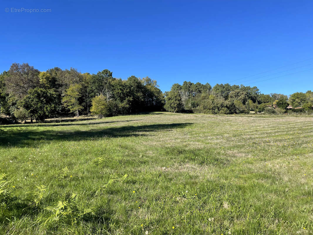 Terrain à VILLAMBLARD