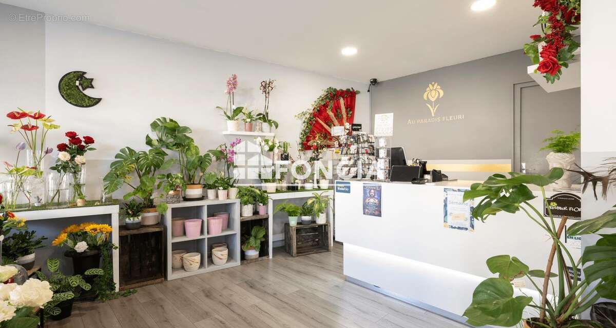 Commerce à MONT-DE-MARSAN