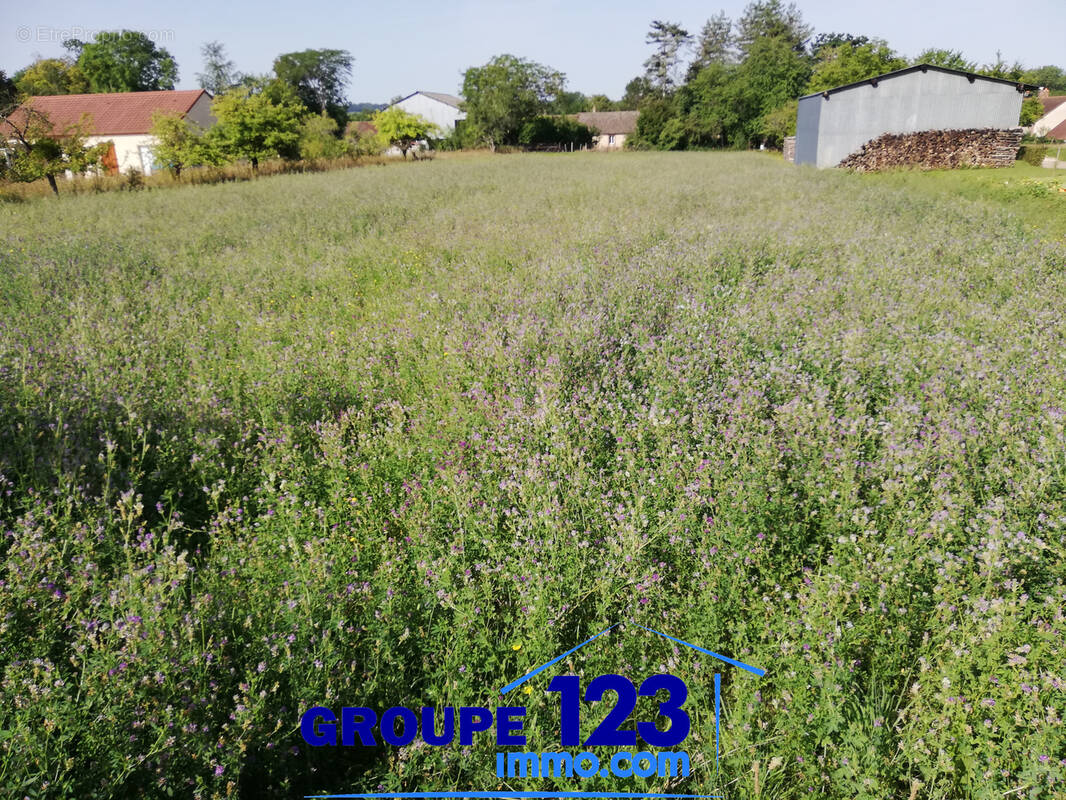 Terrain à AILLANT-SUR-THOLON