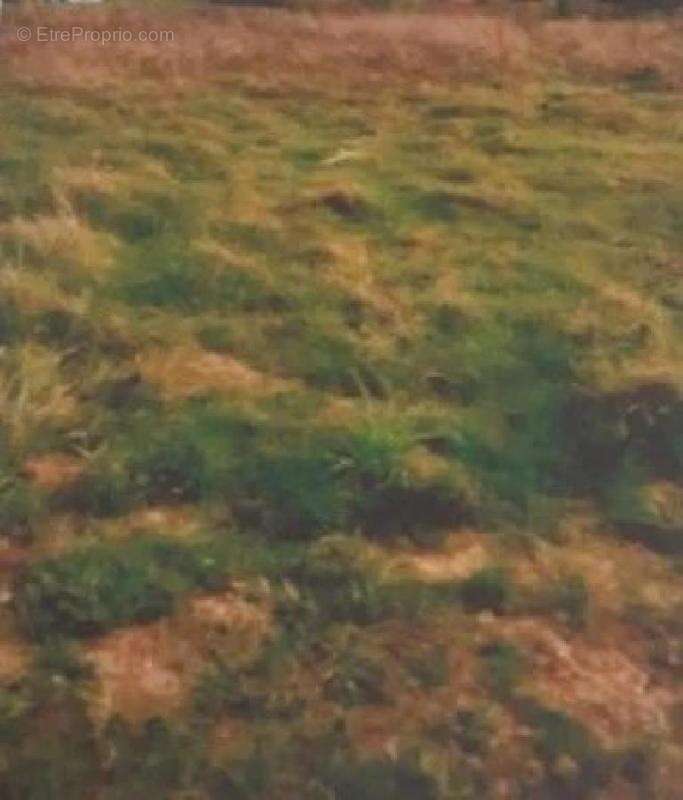 Terrain à LABARTHETE