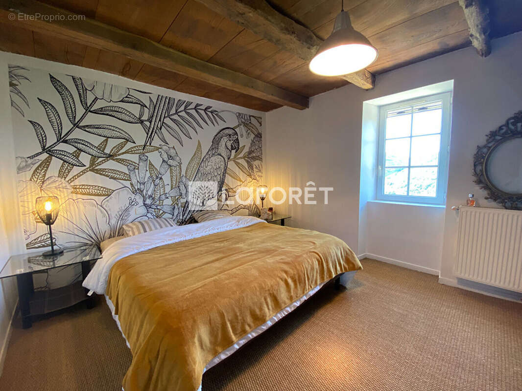 Saint andre - photo 10
