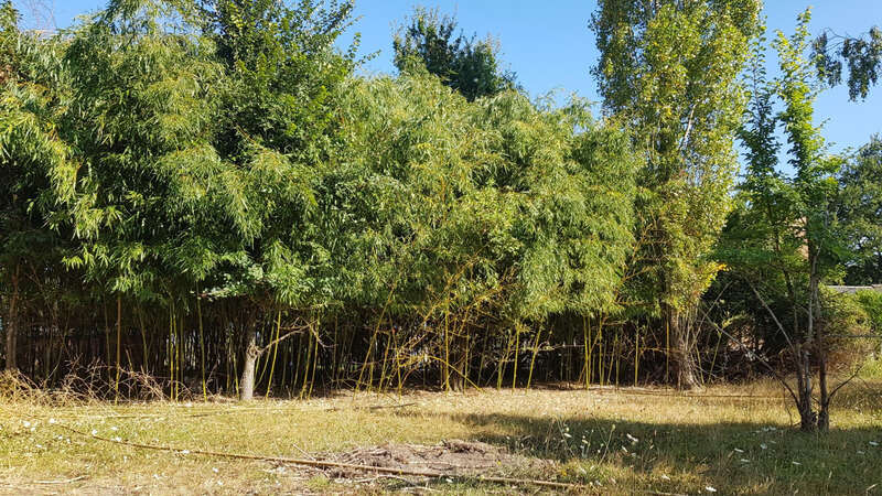 Terrain à VILLEPERDUE