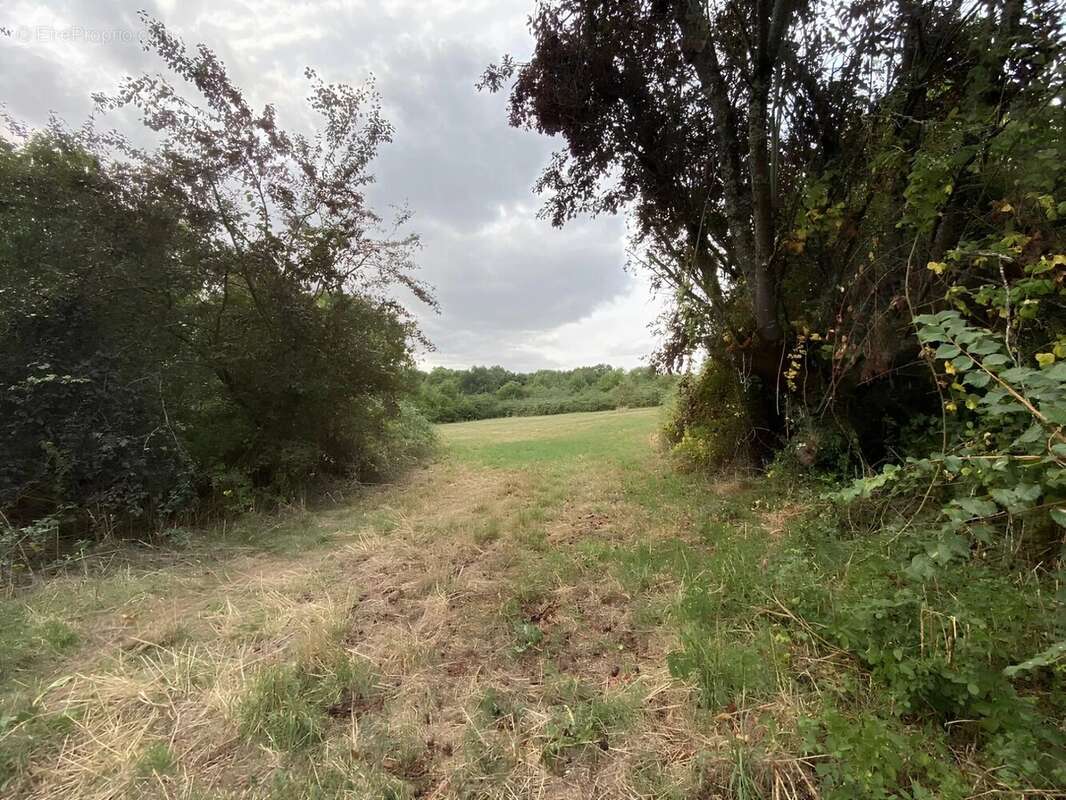 Maison à rénover avec grange et terrain à 20 minutes de Civray - photo 2