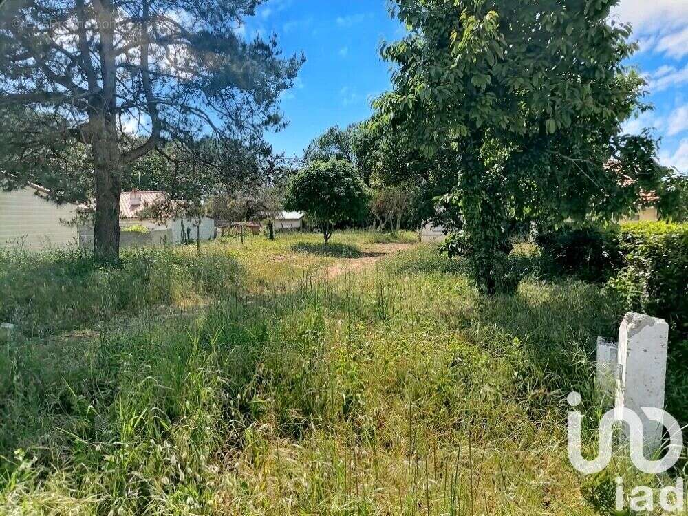 Photo 2 - Terrain à LA PLAINE-SUR-MER