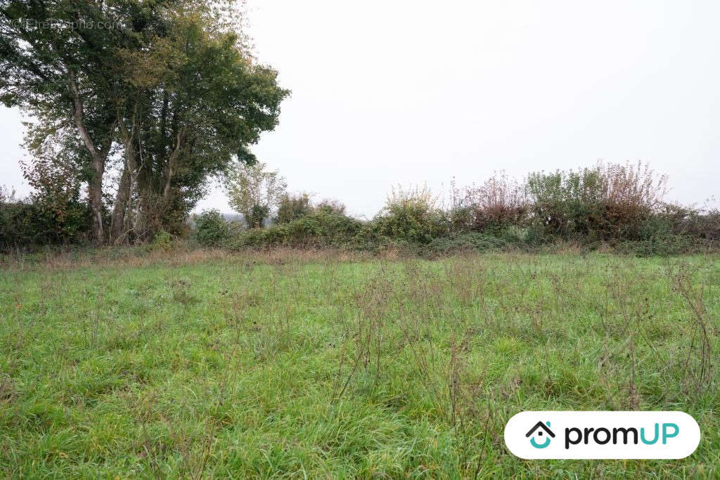 Terrain à GUERIGNY