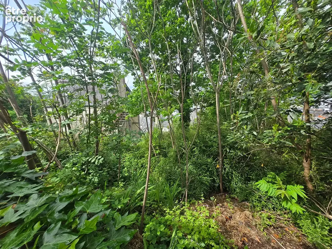 Terrain à vendre à Quimpe - photo 4