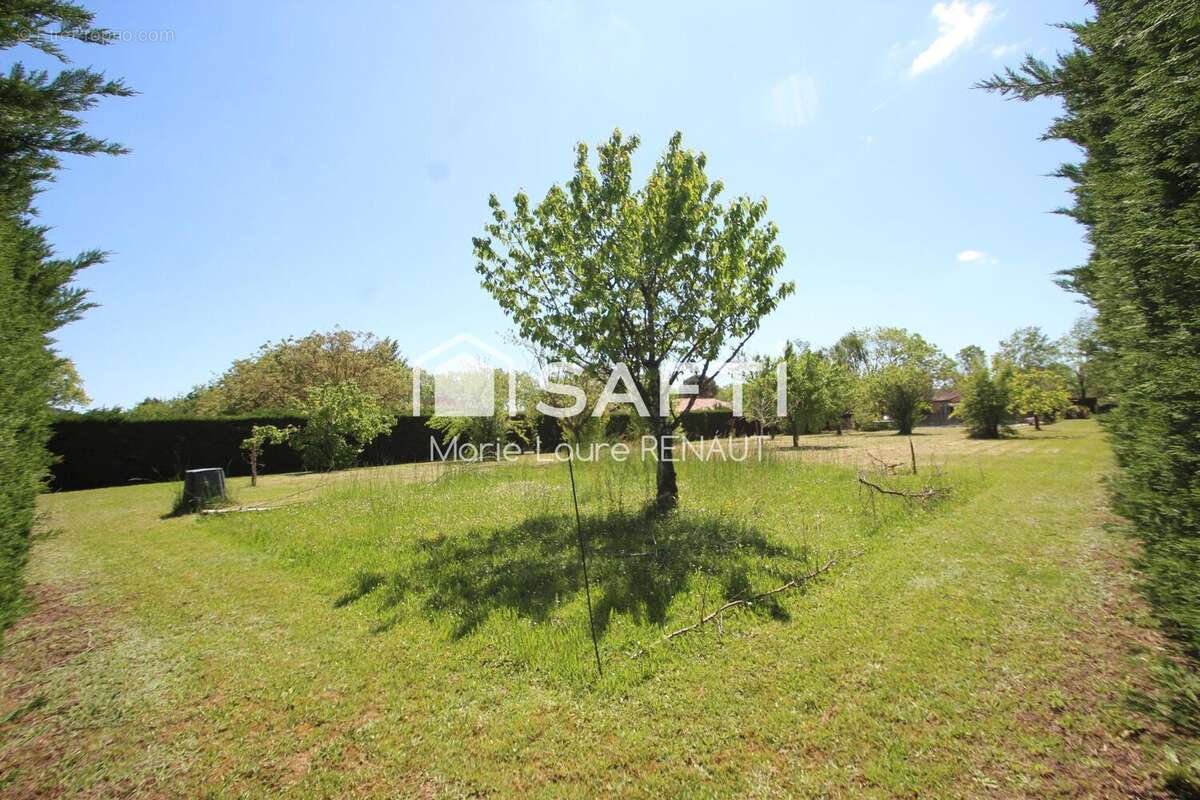 Photo 4 - Terrain à GAILLAC