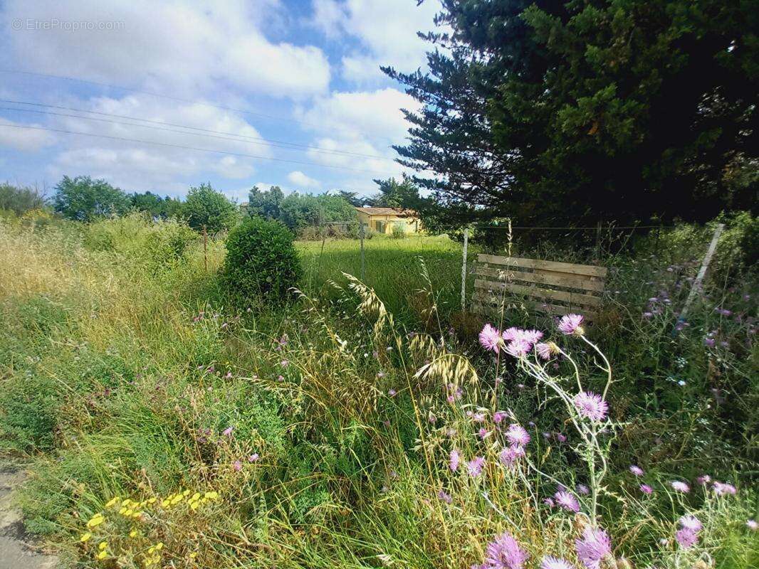 Terrain à ESPONDEILHAN