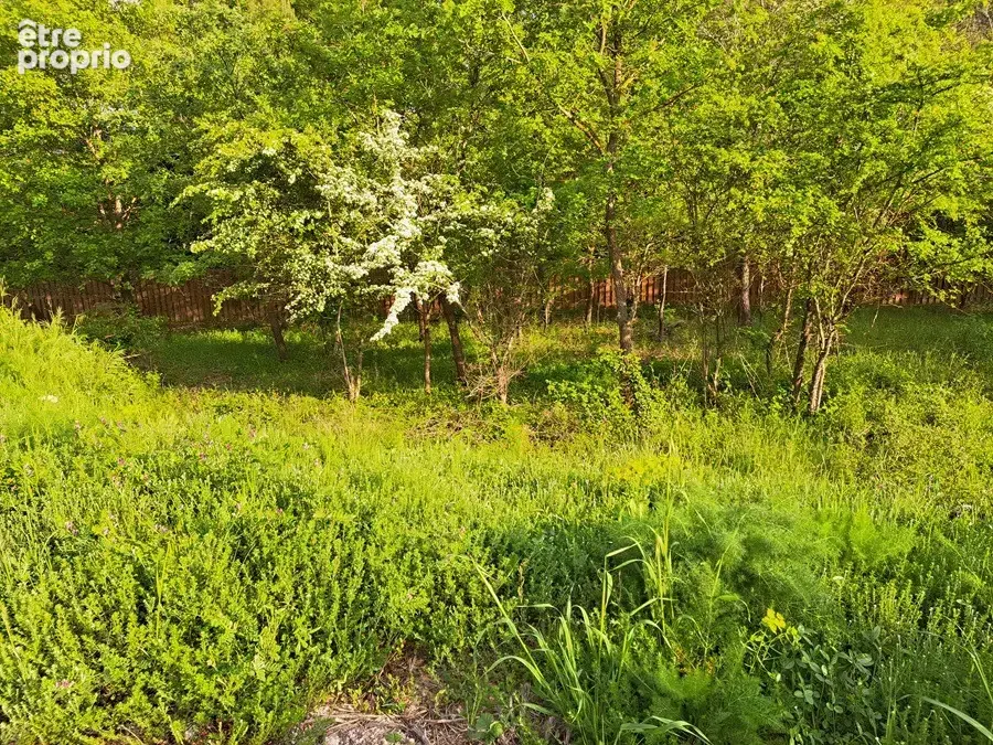 Terrain 595 m² à vendre à Greasque (13850) - photo 5
