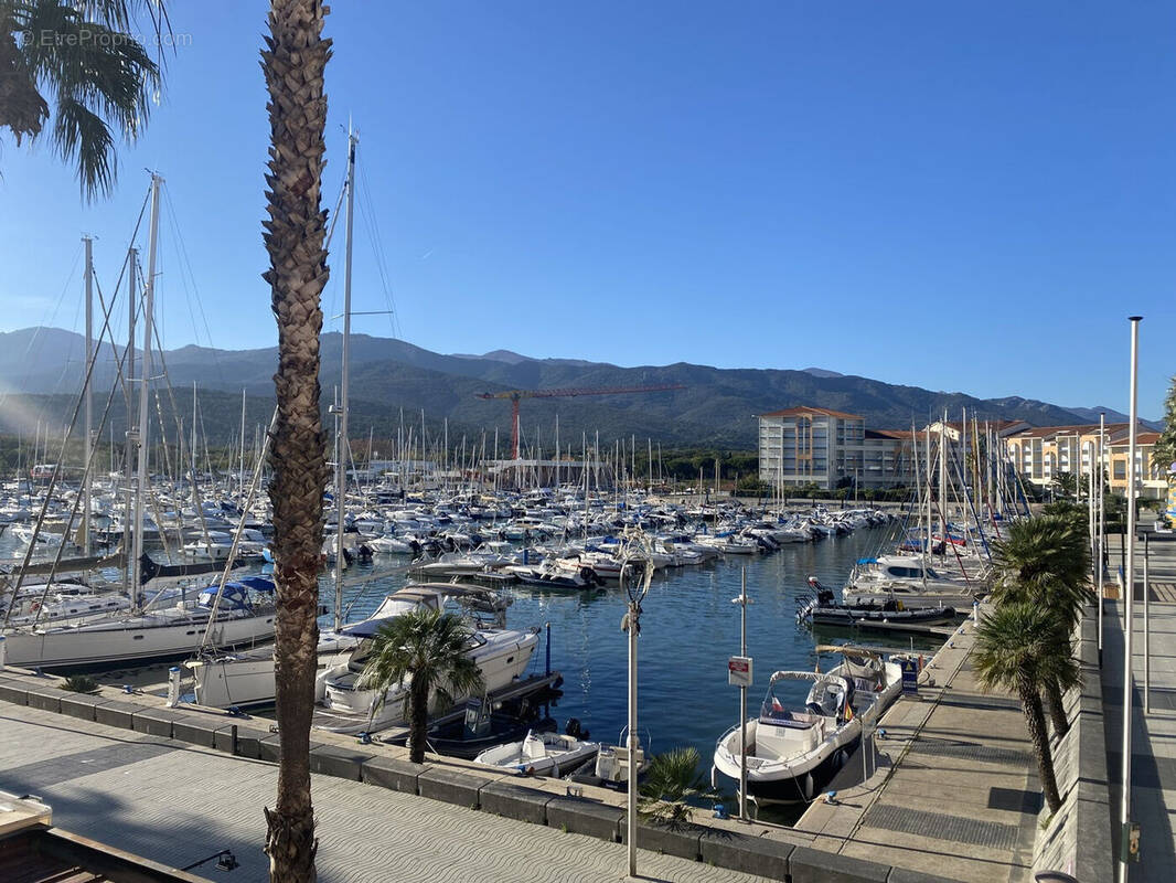 Photo 1 - Appartement à ARGELES-SUR-MER