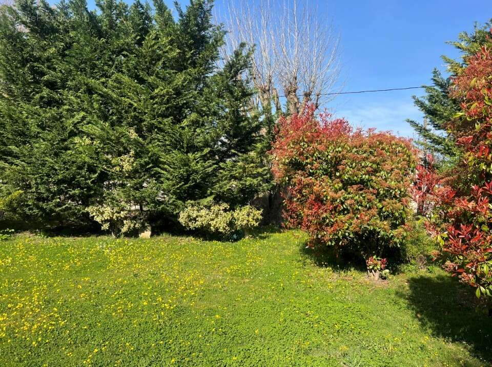 Terrain 650 m² à Saint-Remy-De-Provence  - photo 3
