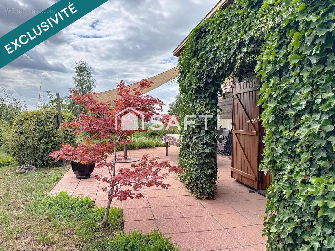 Photo 3 - Maison à WOELFLING-LES-SARREGUEMINES