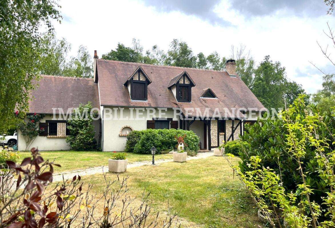 Maison à NOUAN-LE-FUZELIER