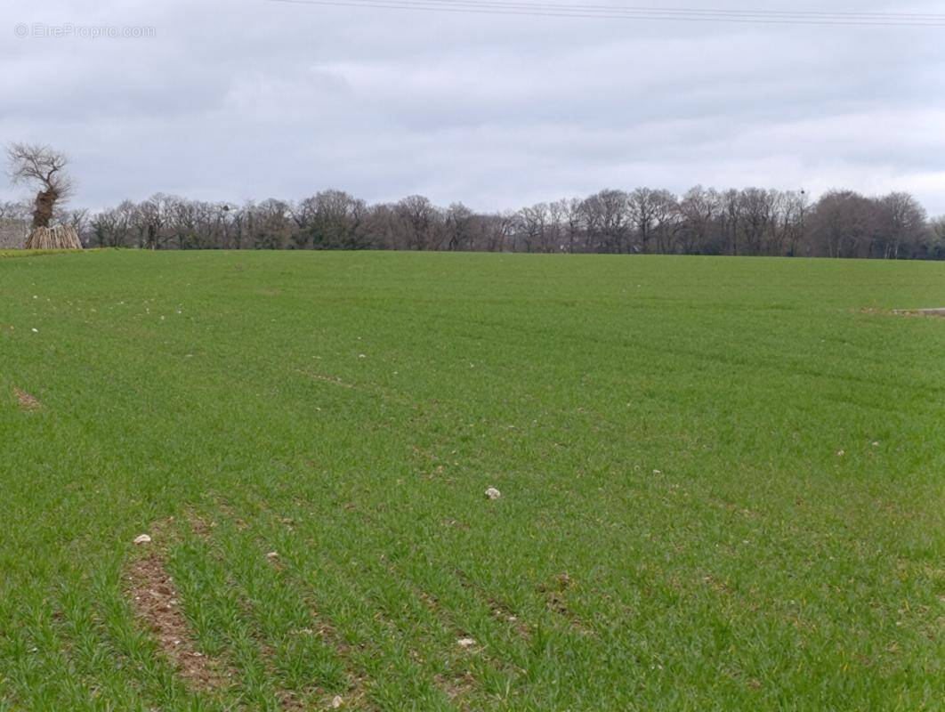 Terrain à SAINT-GERAND