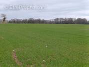 Terrain à SAINT-GERAND