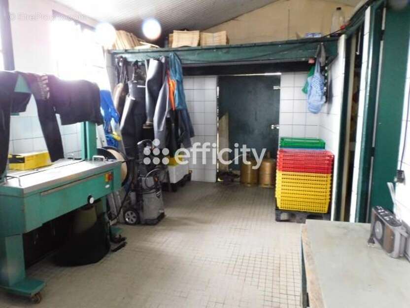 Commerce à DOLUS-D&#039;OLERON