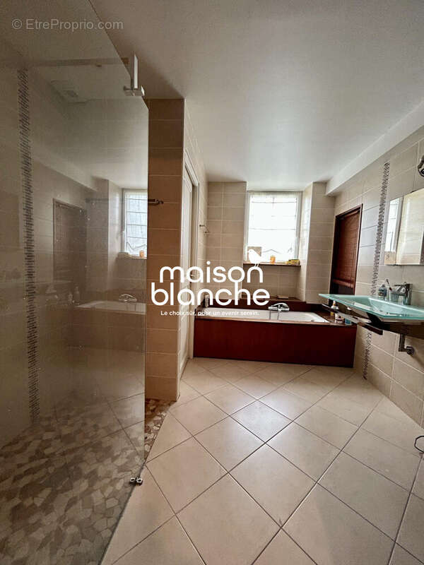 Maison à PELLOUAILLES-LES-VIGNES