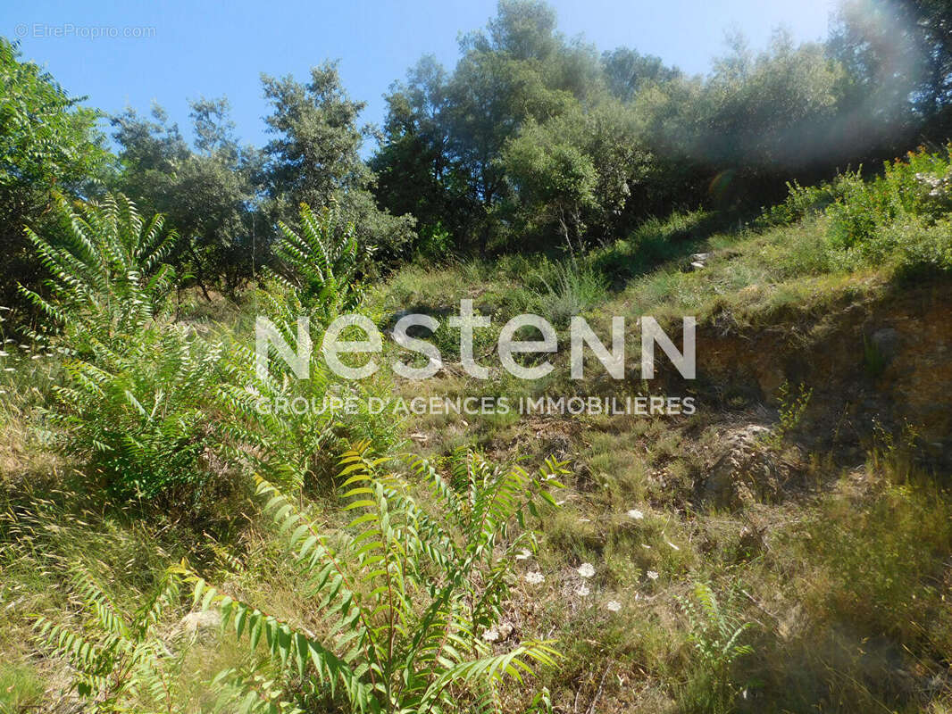 Terrain à TARADEAU