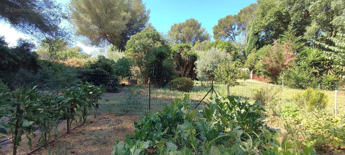 Belle propriete la londe les maures - photo 13