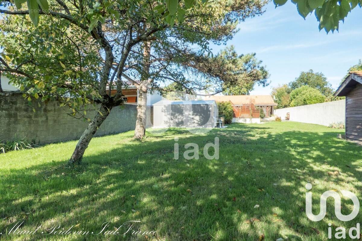 Photo 1 - Maison à BOURGNEUF