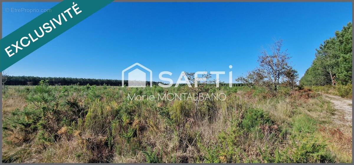 Photo 1 - Terrain à SANGUINET