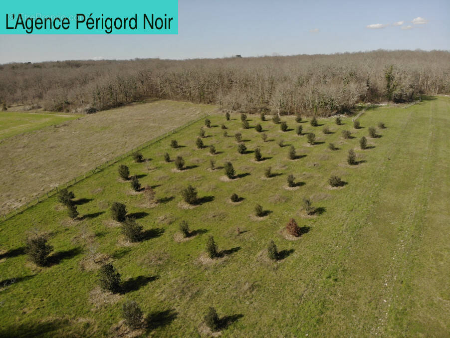 Terrain à CHAPDEUIL